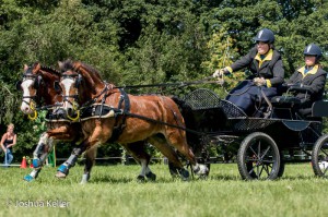 dressuur en vaardigheid  nienoord 10-8-2015  joshua keller-0227     